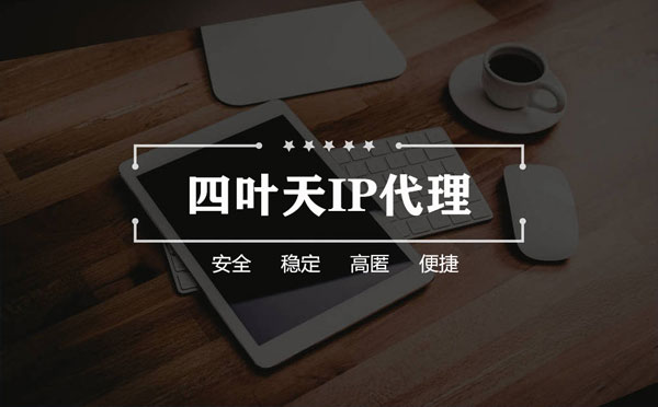 【东台代理IP】如何快速搭建代理IP？怎么检查代理的效果？